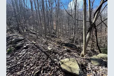 270 Anielee Lane, Clyde, NC 28721 - Photo 23