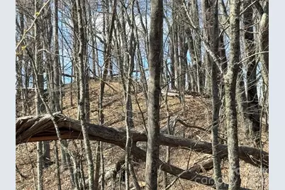 270 Anielee Lane, Clyde, NC 28721 - Photo 31