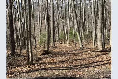 270 Anielee Lane, Clyde, NC 28721 - Photo 25