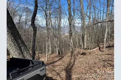 270 Anielee Lane, Clyde, NC 28721 - Photo 9