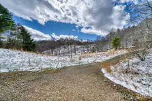 292 Crow Ln, Burnsville, NC 28714 - Photo 21