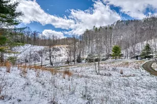 292 Crow Ln, Burnsville, NC 28714 - Photo 29