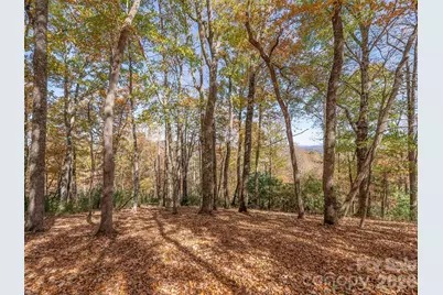 44 Ridge Pine Trail #83, Arden, NC 28704 - Photo 7
