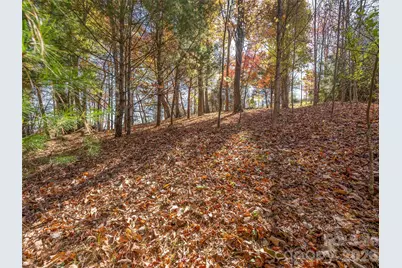 44 Ridge Pine Trail #83, Arden, NC 28704 - Photo 5