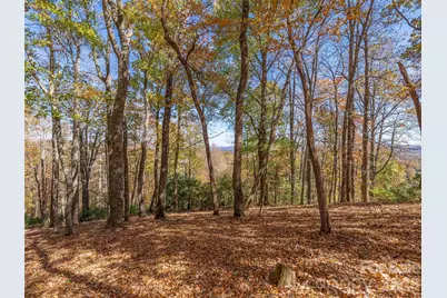 44 Ridge Pine Trail #83, Arden, NC 28704 - Photo 9