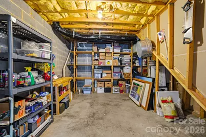 20011 Chapel Point Lane, Cornelius, NC 28031 - Photo 45