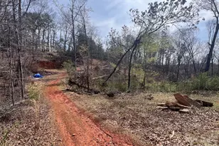 365 Hillbilly Ln, Mill Spring, NC 28756 - Photo 15