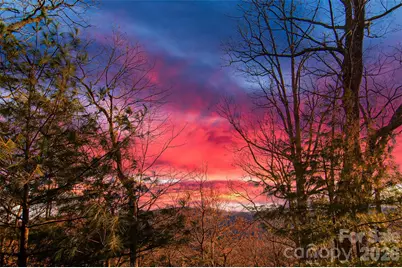 299 Carriage Summitt Way, Hendersonville, NC 28791 - Photo 9