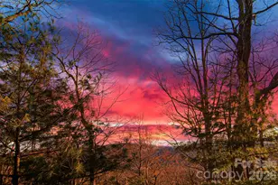 299 Carriage Summitt Way, Hendersonville, NC 28791 - Photo 9