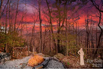 299 Carriage Summitt Way, Hendersonville, NC 28791 - Photo 45