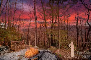 299 Carriage Summitt Way, Hendersonville, NC 28791 - Photo 45