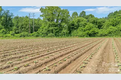 0 Nc Hwy 268 None, Elkin, NC 28621 - Photo 15