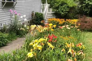 592 Liberty Church Rd, Marion, NC 28752 - Photo 9