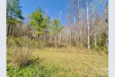 592 Liberty Church Road, Marion, NC 28752 - Photo 25