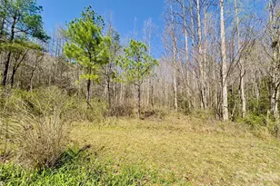 592 Liberty Church Rd, Marion, NC 28752 - Photo 25