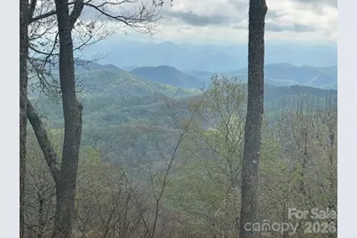 34 Wolfs Head Court, Mars Hill, NC 28754 - Photo 7