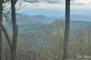 34 Wolf's Head Ct, Mars Hill, NC 28754 - Photo 7