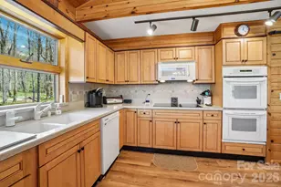 34 Wolf's Head Ct, Mars Hill, NC 28754 - Photo 21