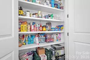 1146 South St, Cornelius, NC 28031 - Photo 19