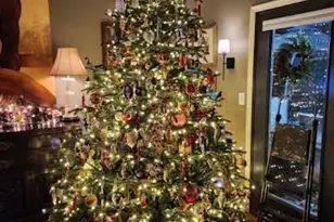 17 Marlwood Ct, Asheville, NC 28804 - Photo 35