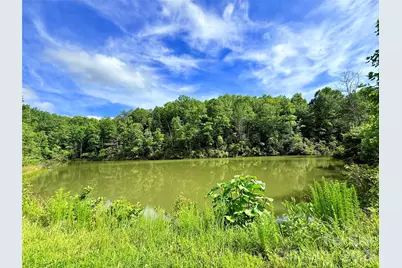 221 Summerfield Lane, Rutherfordton, NC 28139 - Photo 11