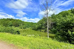 221 Summerfield Ln, Rutherfordton, NC 28139 - Photo 29