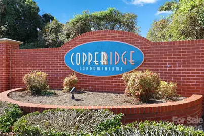 17157 Red Feather Drive, Charlotte, NC 28277 - Photo 3