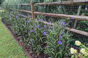 4308 Glenduran Ln, Waxhaw, NC 28173 - Photo 39