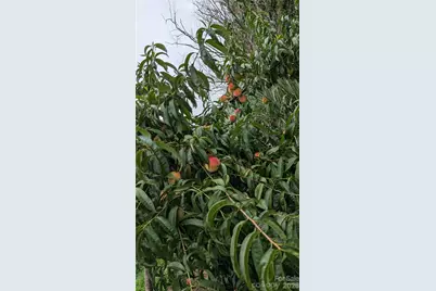 4308 Glenduran Lane, Waxhaw, NC 28173 - Photo 41