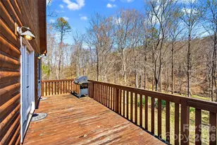 437 Cinnamon Ridge Rd, Rutherfordton, NC 28139 - Photo 27