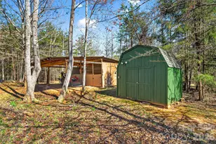 437 Cinnamon Ridge Rd, Rutherfordton, NC 28139 - Photo 31