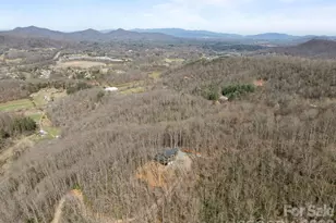 215 Ridgeway Rd, Candler, NC 28715 - Photo 7