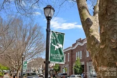 5595 Morris Hunt Drive, Fort Mill, SC 29708 - Photo 45