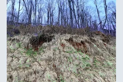 89 Weeping Cherry Forest Road, Fairview, NC 28730 - Photo 1