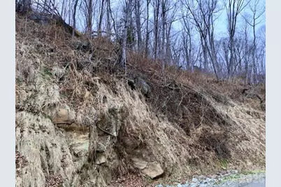 89 Weeping Cherry Forest Road, Fairview, NC 28730 - Photo 3