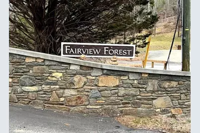 89 Weeping Cherry Forest Road, Fairview, NC 28730 - Photo 5