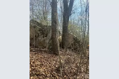 1820 Grapevine Road, Marshall, NC 28753 - Photo 23