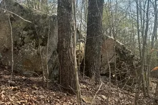 1820 Grapevine Rd, Marshall, NC 28753 - Photo 23
