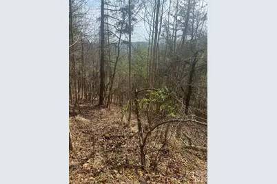 1820 Grapevine Road, Marshall, NC 28753 - Photo 23