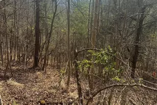 1820 Grapevine Rd, Marshall, NC 28753 - Photo 23