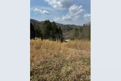 1820 Grapevine Road, Marshall, NC 28753 - Photo 35