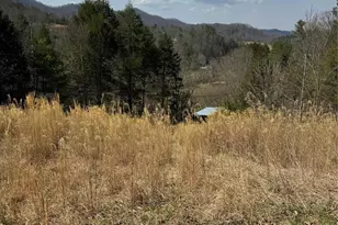 1820 Grapevine Rd, Marshall, NC 28753 - Photo 35