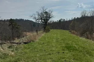 1820 Grapevine Rd, Marshall, NC 28753 - Photo 39