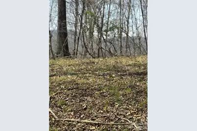 1820 Grapevine Road, Marshall, NC 28753 - Photo 33