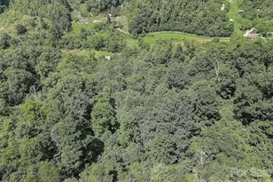 1820 Grapevine Rd, Marshall, NC 28753 - Photo 11