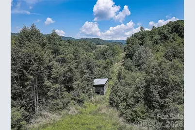 1820 Grapevine Road, Marshall, NC 28753 - Photo 9