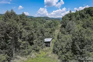 1820 Grapevine Rd, Marshall, NC 28753 - Photo 9