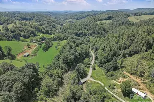 1820 Grapevine Rd, Marshall, NC 28753 - Photo 3