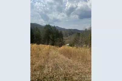 1820 Grapevine Road, Marshall, NC 28753 - Photo 13