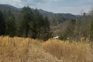 1820 Grapevine Rd, Marshall, NC 28753 - Photo 13